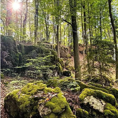 Haus Sommerseit'n Ruhe-natur-genuss *