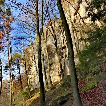 Haus Sommerseit'n Ruhe-natur-genuss Hirschbach (Bavaria)