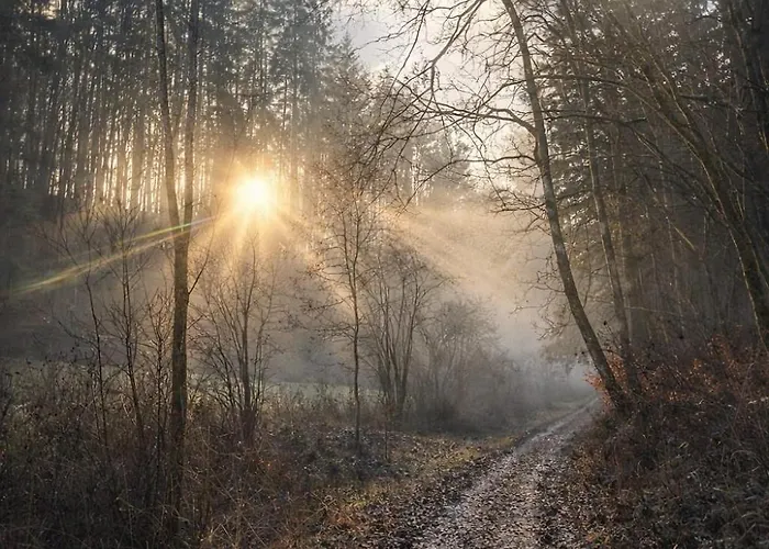 Haus Sommerseit'n Ruhe-natur-genuss *