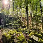 Haus Sommerseit'n Ruhe-natur-genuss *