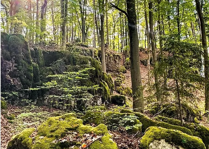 Haus Sommerseit'n Ruhe-natur-genuss *